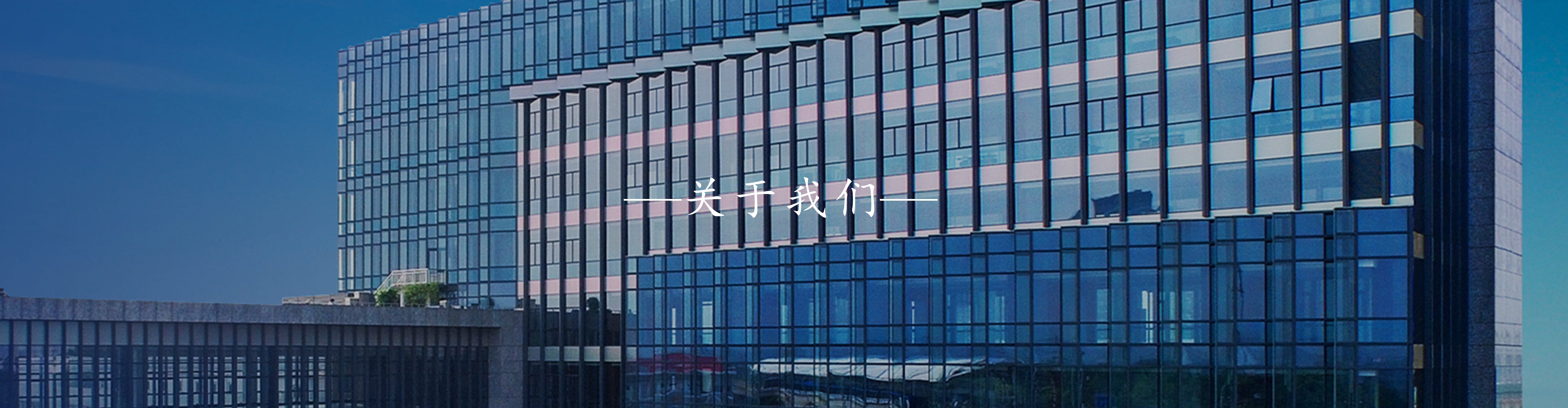新聞動態(tài)